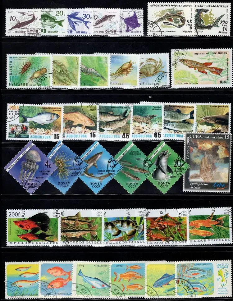 

250 PCS/Lot,Topic Fish,Sea Life,Different Fish Stamps From Word,Animal Stamps,Used with Post Mark,High Quaility,Stamp Collection