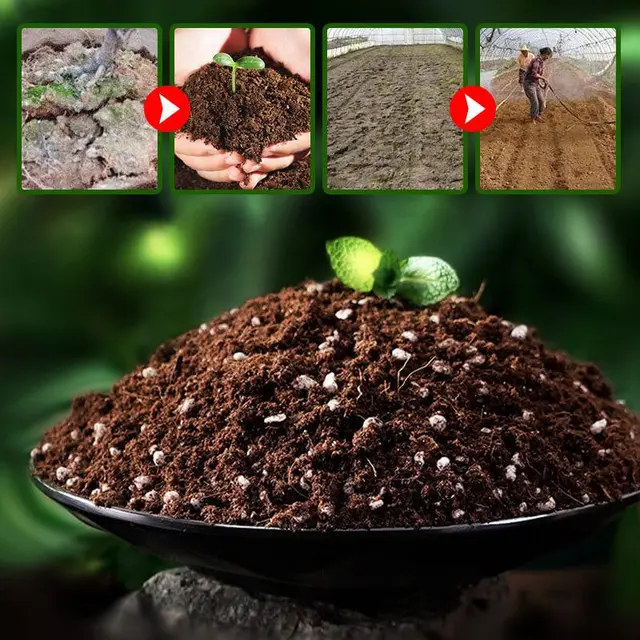 200 G Talaj Aktivátor Aszály-Rezisztens Talajjavítás És A Lazító Szer Szabályozza Sav-Lúgos Vízben Oldódó Műtrágyát - Image 6