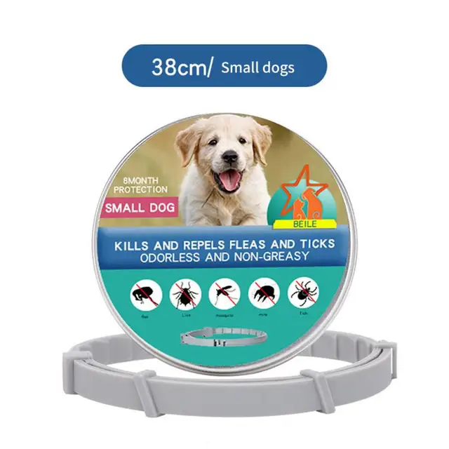 38cm-small-dog-box