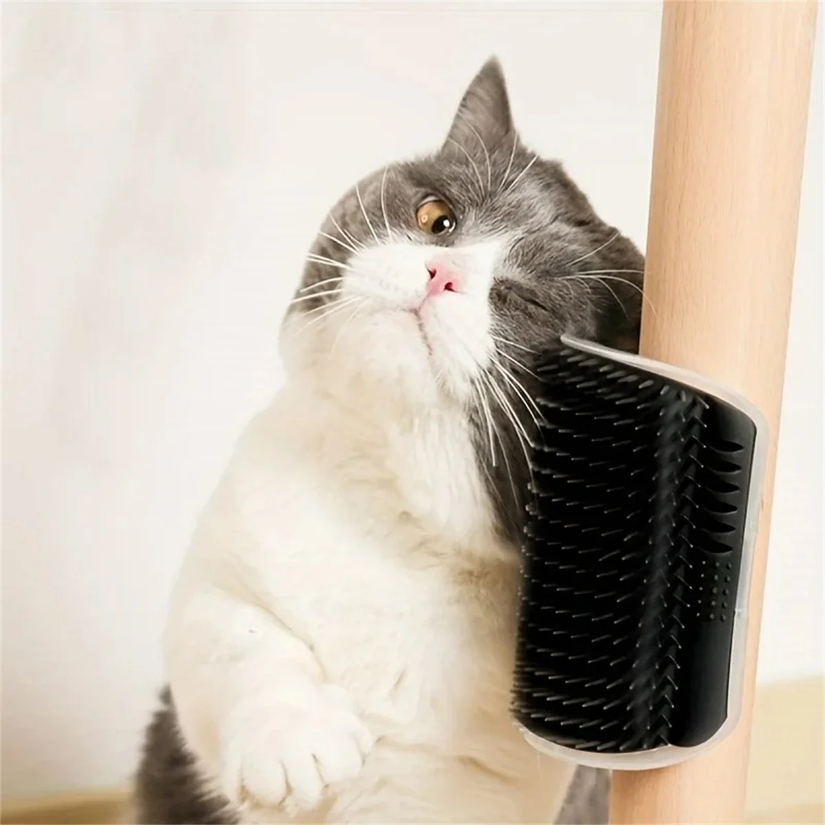 고양이 스크래쳐 마사지기, 짧거나 긴 털 고양이를 위한 애완동물 긁는 브러쉬, 더 부드러운 새끼 고양이 케어 마사지 장난감, 애완용품