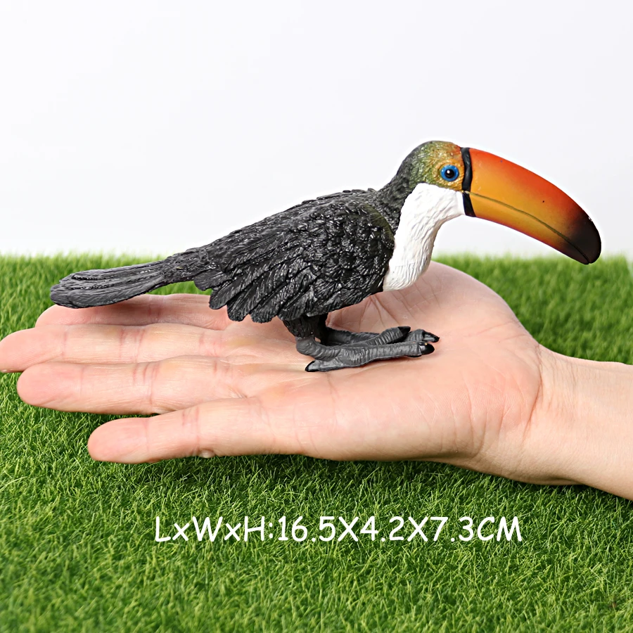 Simulation Vogel Tier Tukan Türkei Flamingo MandarinDuck Kiwi Woodpeckers Modell Figur Garten Dekoration Miniatur Spielzeug – Detail 37
