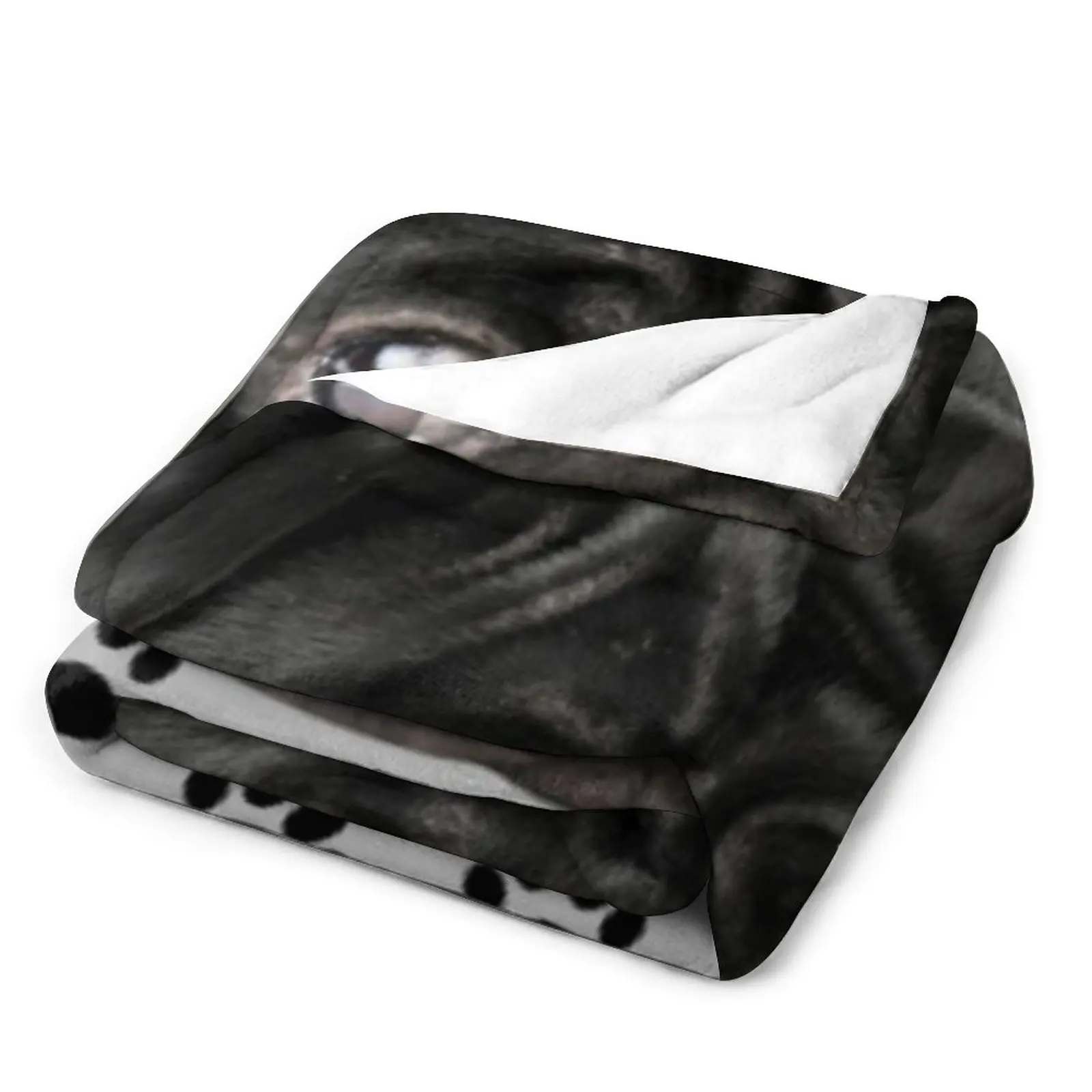 ��������� ���� �۱� ������ ���, ���� ���, ��� ���� ���