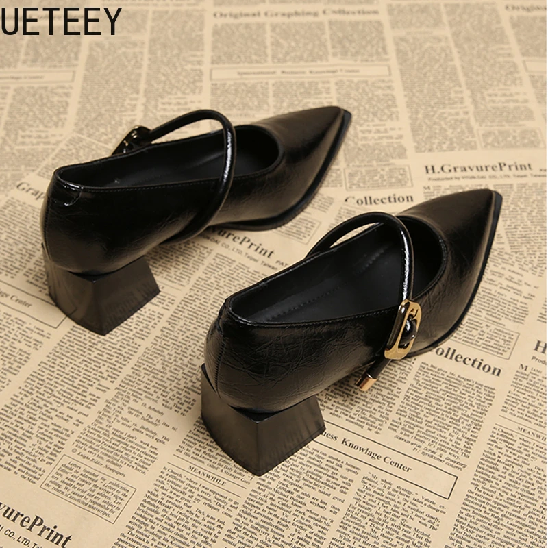 Designer Vintage Pointed Toe Women Mary Jane Shoes Fashion Shallow Buckle Shoes Ladies Elegant Dress Thick Heel Shoes 5