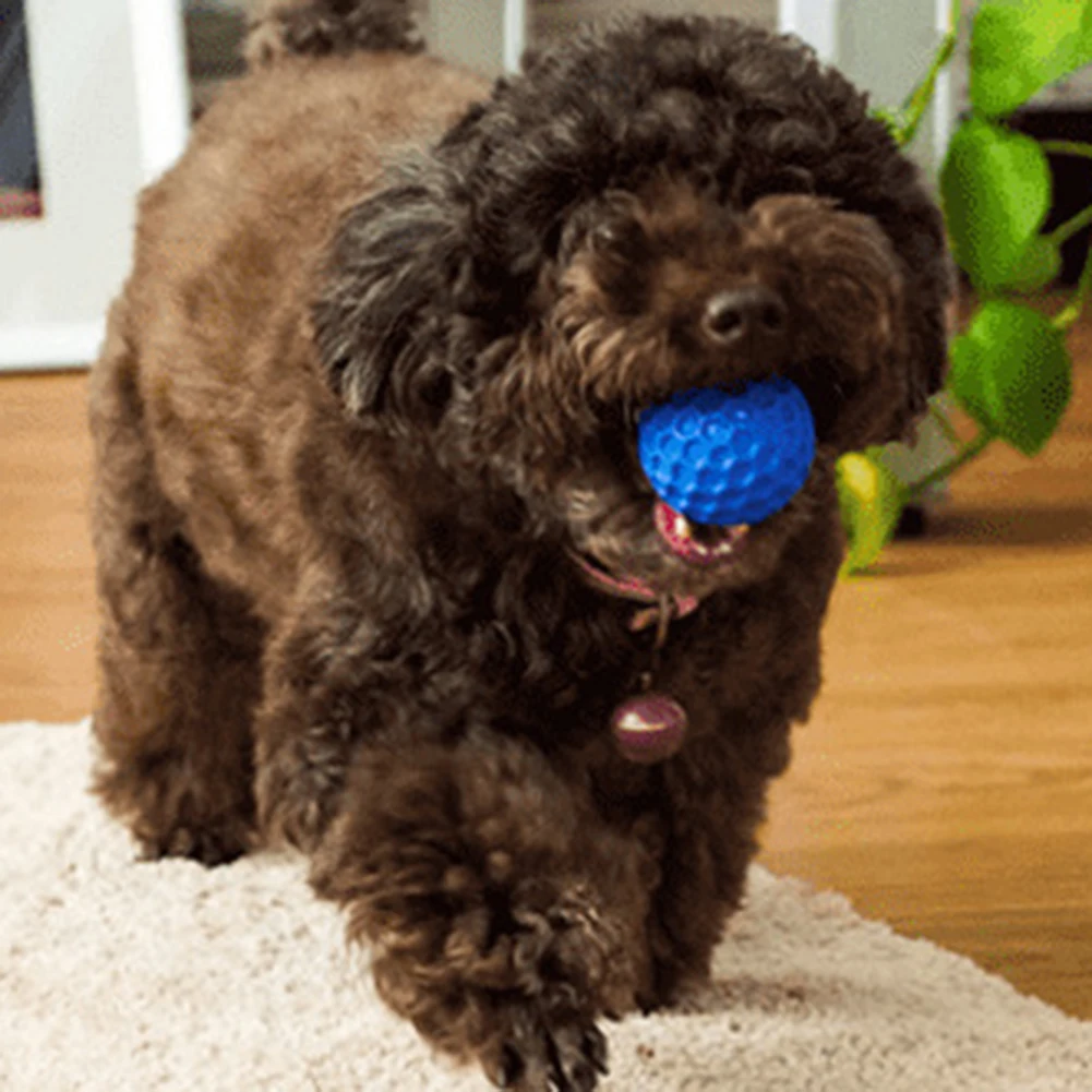Squeaky Dog Rubber Toy Bite-resistant Pet Dog Chewing Toy Elastic Pet Tooth Cleaning Toys Rubber Ball Toy Ball for dog 3