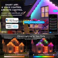 Smart RGBIC LED Eave Lights 100FT Permanent Outdoor Waterproof WiFi Dimmable with Alexa Google Tuya for Holiday Party Home Decor - Image 5