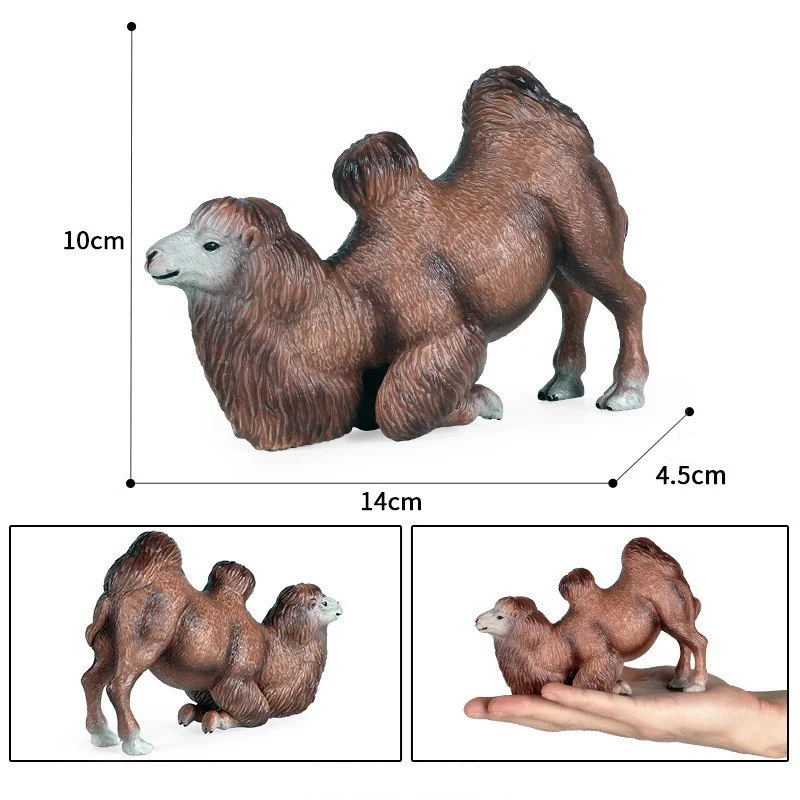 Simulation Bactrian Camel Wildlife Desert Animals Action Figures Miniacture Ornament Decoration Early Education Figurines Toys images - 6