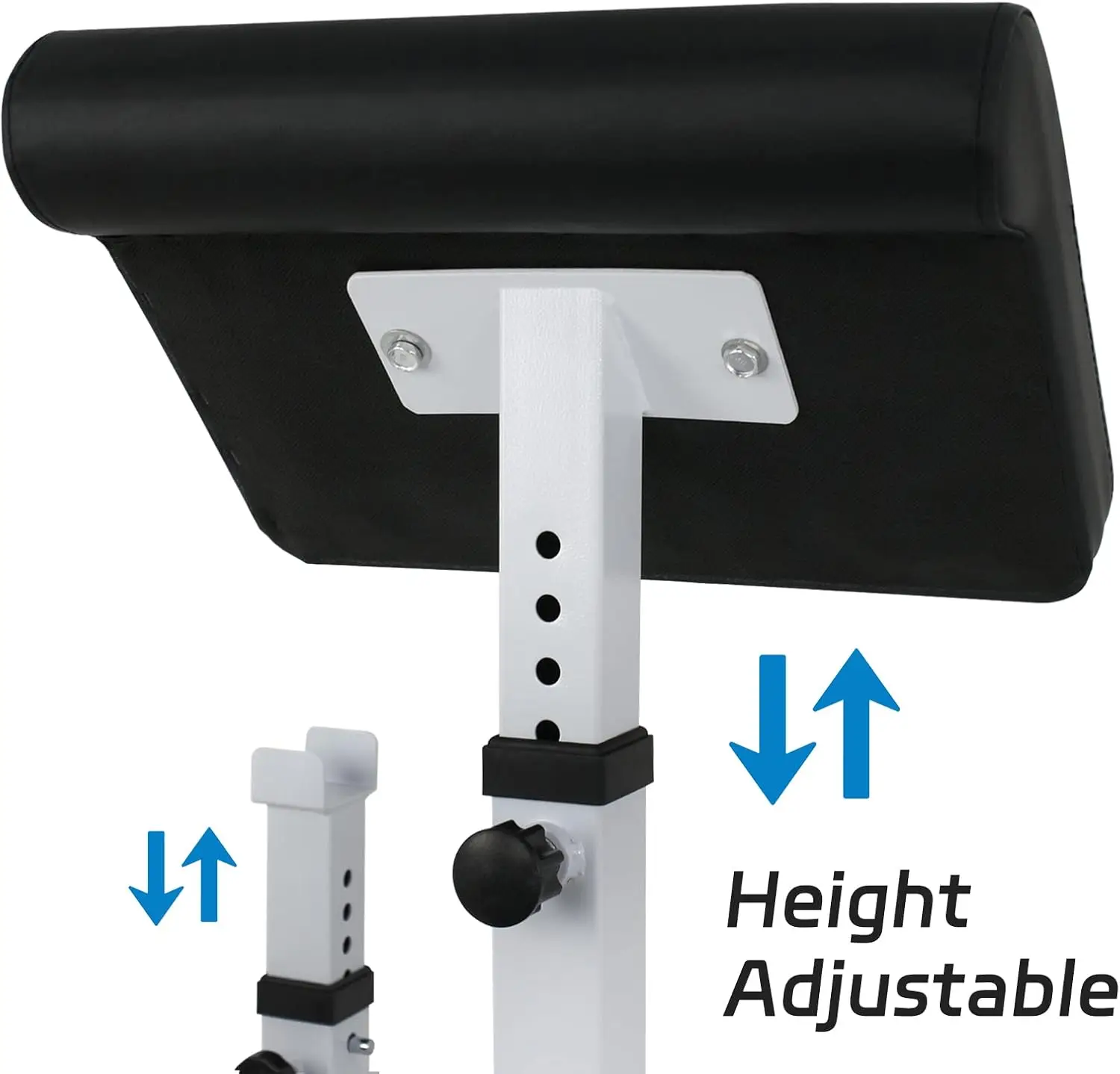 Preacher Curl Bench for Arm Isolation - Image 6