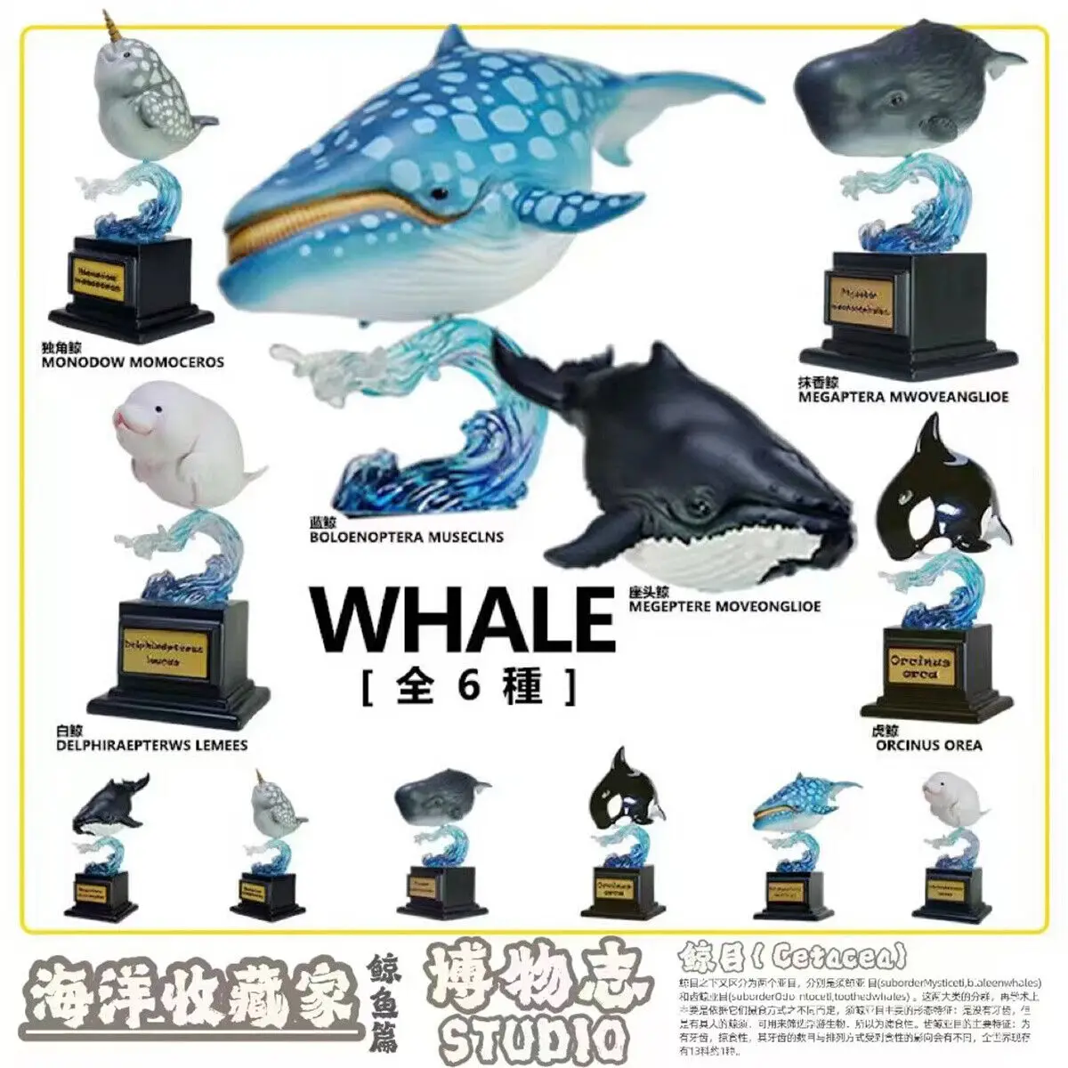

Whale Blind Box Model Cetacea Marine Animal Beluga Whale Balaenoptera musculus Killer Whale Humpback Whale Decoration Gift Toy