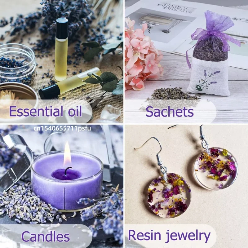 Slide image 3bd38a11a6a64caf9348ce3af7f2341b