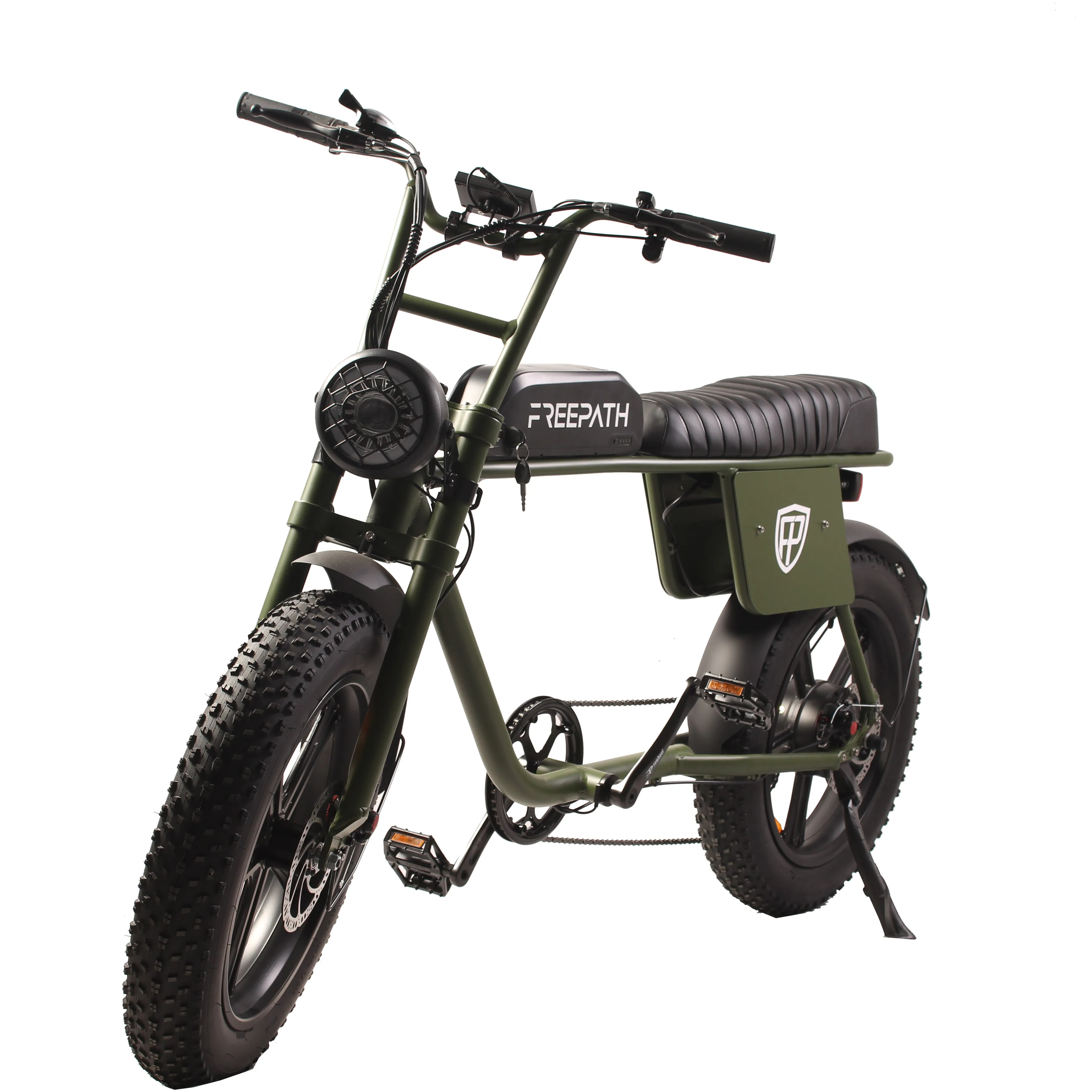 Electric bicycle 48V 750W outdoor sport mountain 4.0 fat tire electric bike high speed motor E bike custom