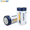 RAMWAY ER34615 D Add SM Plug 3.6V Disposable Lithium Battery Large Capacity Gas Coal Mine Flow Meter IoT Intelligent Water Meter 6