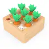 Toys for 1 YearOld Baby Pull Carrot Set Wooden Toy Shape Size Matching Puzzle Wood Game Educational Toys for Children 1