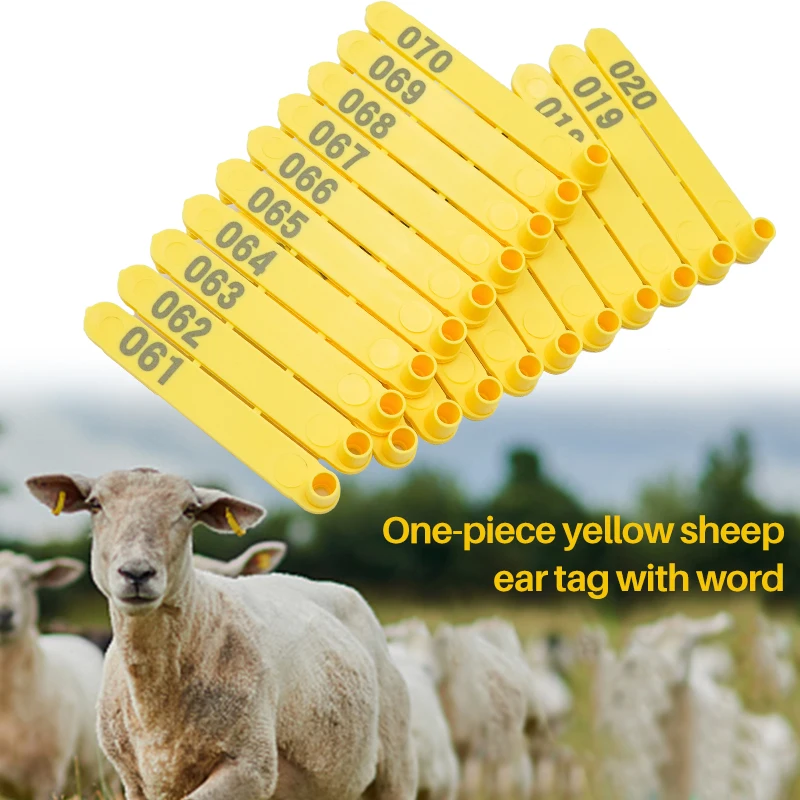 Goat Sheep Pig 101-200 Number Plastic Livestock Ear Tag With Yellow Color 