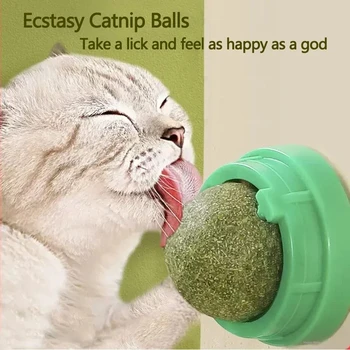 2933-4a31a0.jpg Natural Catnip Scratching Post for Cat Scrapers Cat Wall Sticker Ball Toy Scraper Cats Pet Products Therapeutic Healthy Toys Hom