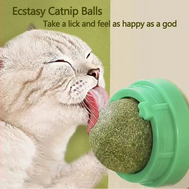 Catnip Wall Scratching Post 1