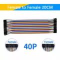 Female to Female20CM