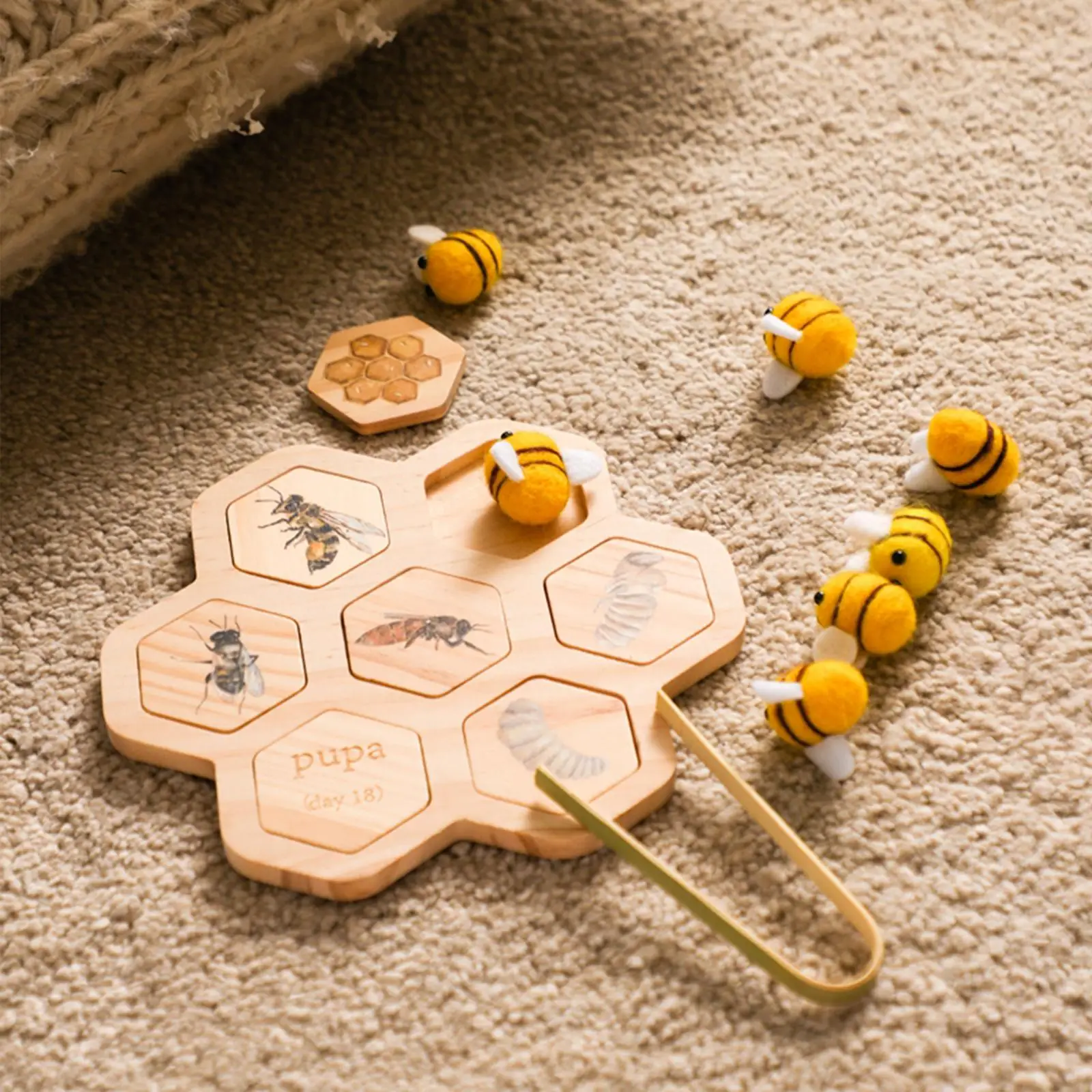 

Sorting Matching Toy Eveloping Hand Eye Coordination Puzzles Life Cycle Tray