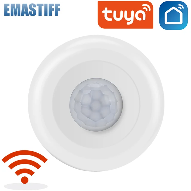 1PCS WIFI PIR