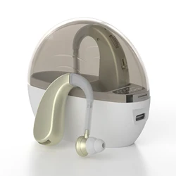 Premium Noise - Cancelling Headphones with Sound Amplification and Adjustable Volume, Includes Charging Case (Skin Color)