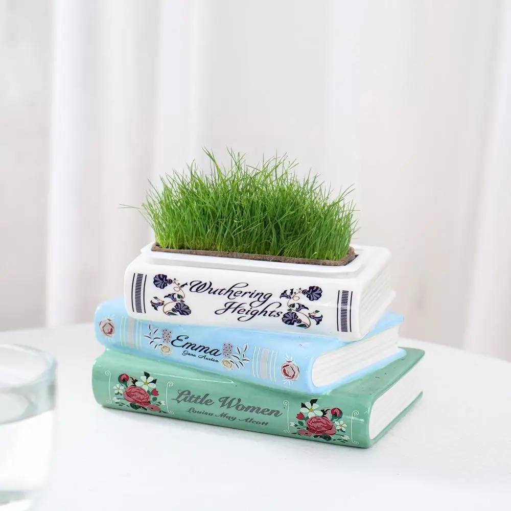 Flower Pot Small Ceramic Book-Shaped Planter with Hole Cute Bookshelf Decor Home Desk Decoration Accessories Office Living Room