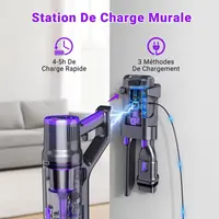 Aspirateur balai sans fil Blossom DSV112A 50000Pa 550W, tube pliable à 180°, écran tactile, autonomie 55 min, brosse anti-emmêlement, filtration HEPA, éclairage LED, aspirateur pour poils d’animaux sols durs tapis 5