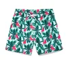 Colorful Hawaiian 3d Print Beach Shorts Men Summer Street Plants Flamingo Short Pants Surf Board Shorts Outdoor Swim Trunks 2