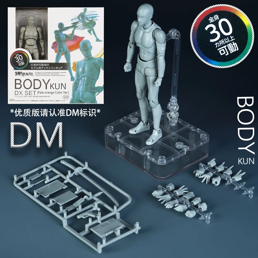 Skizze Zeichnen Männlich Weiblich Beweglicher Körper Kun Körper Chan Gelenkschmerzen Anime Figur SHF Actionfigur Spielzeugmodell Zeichenpuppe