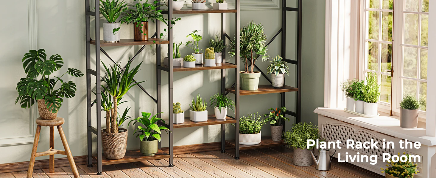 bookshelf book shelf