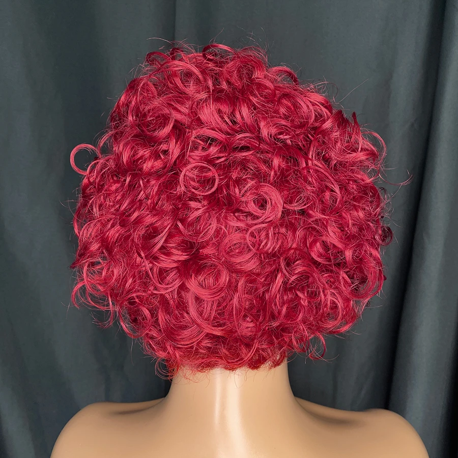 Pixie Cut Wig Human Hair 6 Inch Short Curly Lace Front Wigs Human Hair 13x1 Pixie Cut Lace Short Curly Wigs For Women 1b/99j