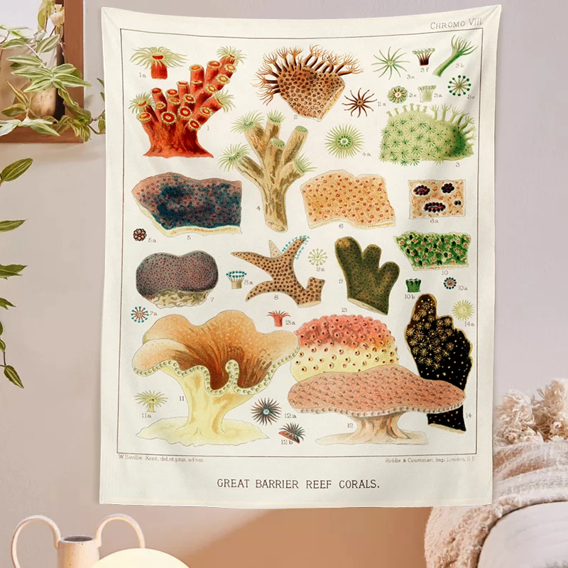 Mushroom Tapestry Wall Hanging Botanical Print Floral Illustration Identification Chart Diagram Wall Art Boho Decor