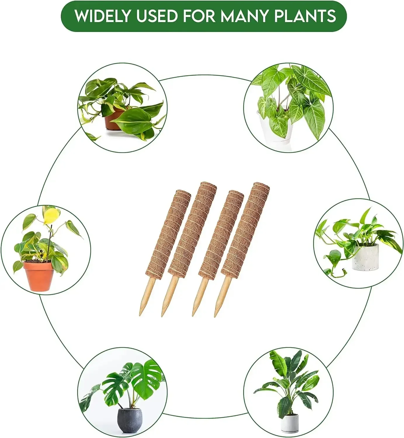 Extendable Handmade Moss Pole For Plants Plant Climbing Rod Plant Pole For Climbing Plants Real Handmade Moss Stick Plant Climbing Support Plant Support Stick