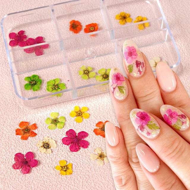10Pcs 3D Dried Flower Nails Art Decorations Natural Floral Nail Charms  Jewelry Set Nail Supplies For Professionals Accessories - AliExpress