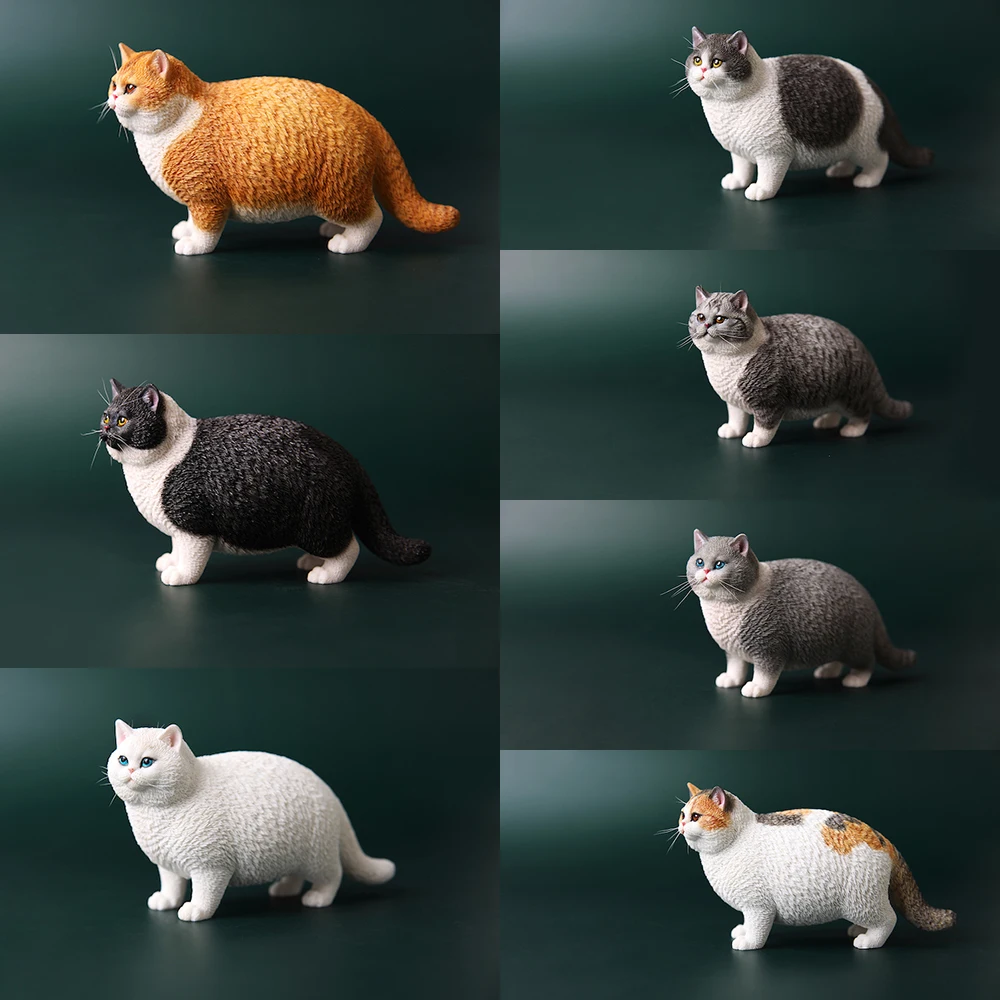 

JXK064 1/6 British Shorthair Fat Cat Pet Model Cute Animal Scene Ornaments for 12 Inch TBLeague Jiaou Doll Accessories Gift Toys