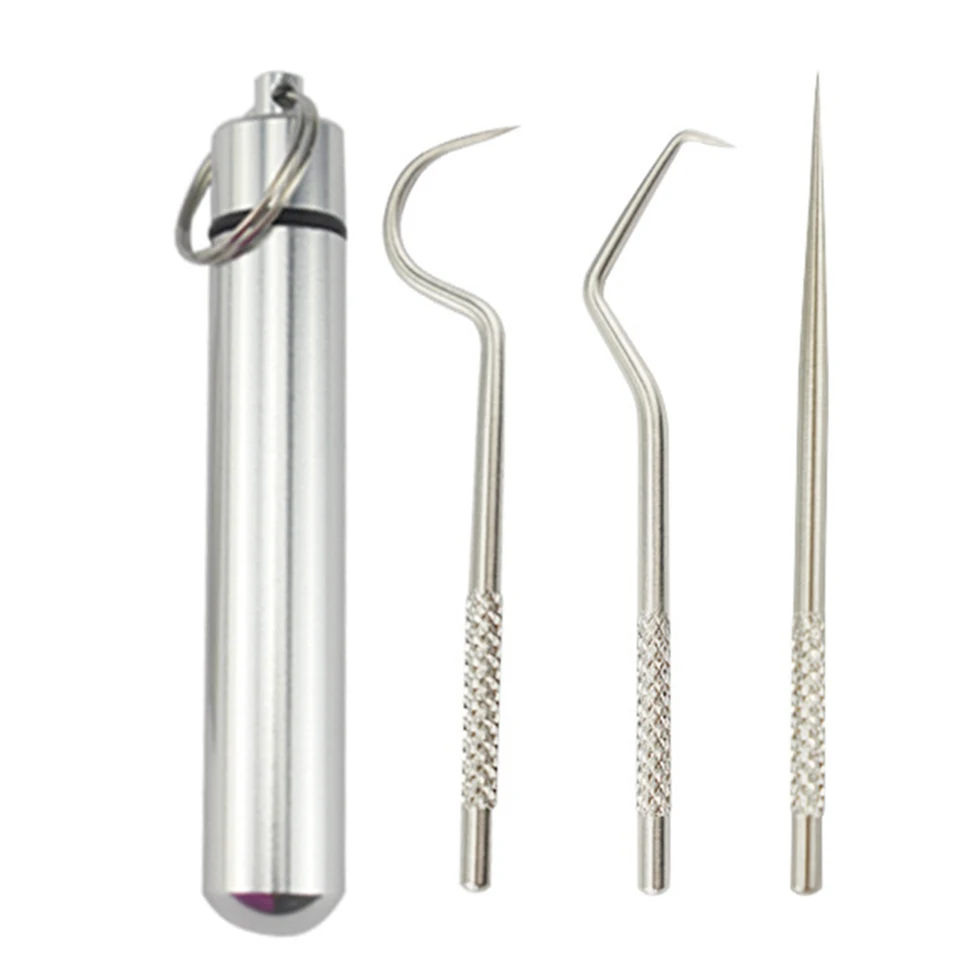 Portable Stainless Steel Toothpick Holder Set