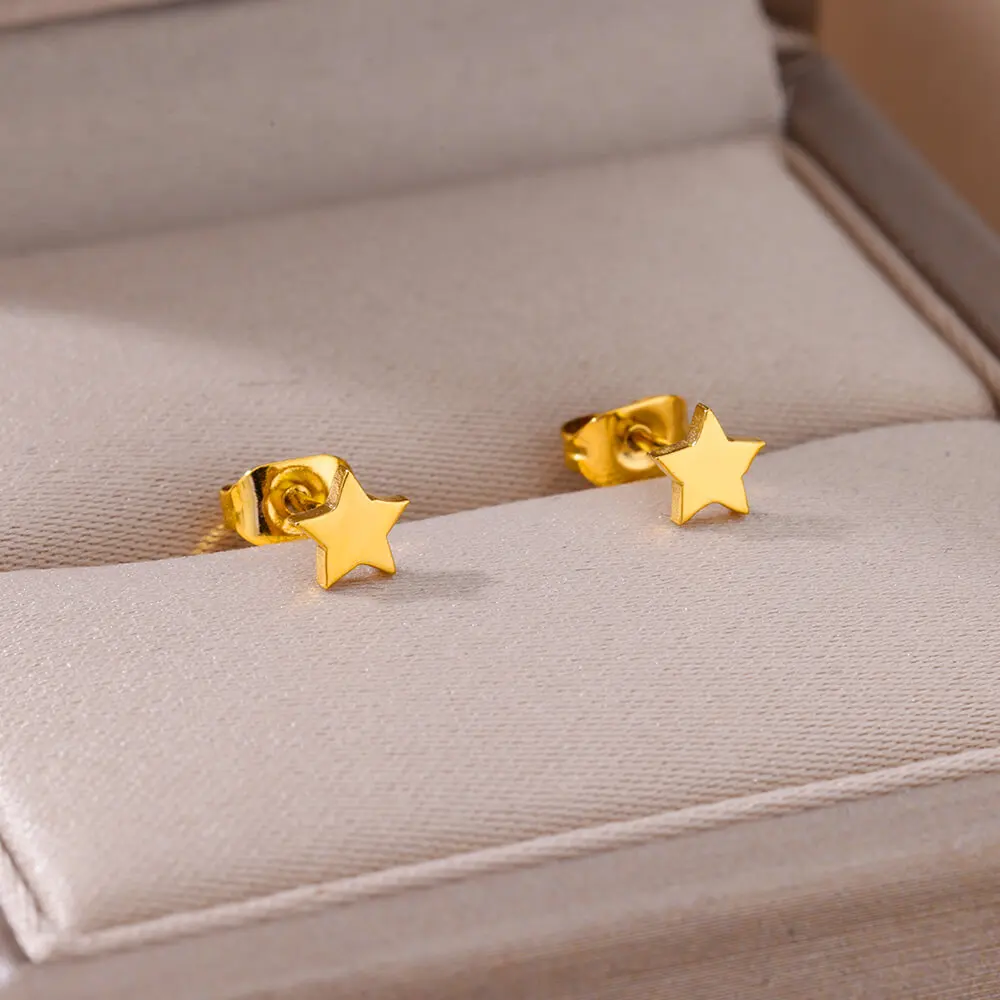 Gold Stainless Steel Earrings For Women