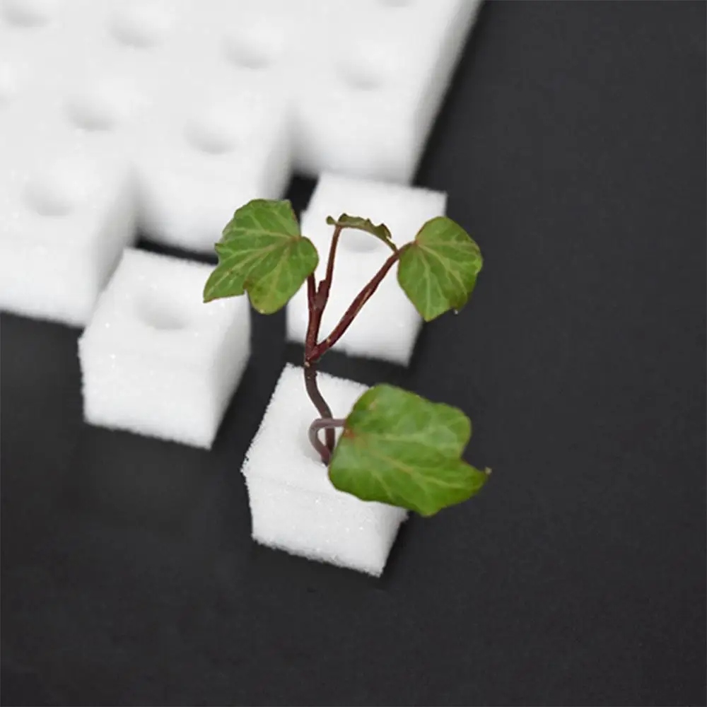 

Hydroponic Sponge Block 100 Pcs Water Soilless Cultivation Culture Germination Nursery Pots Seedling Tools Planting Vegetab X1T5