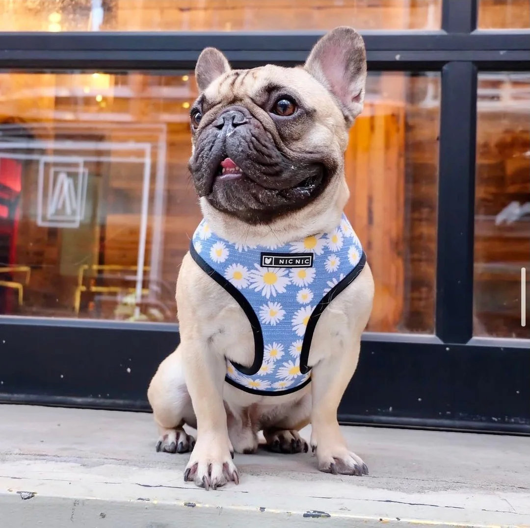 186532597_475157786931646_2333