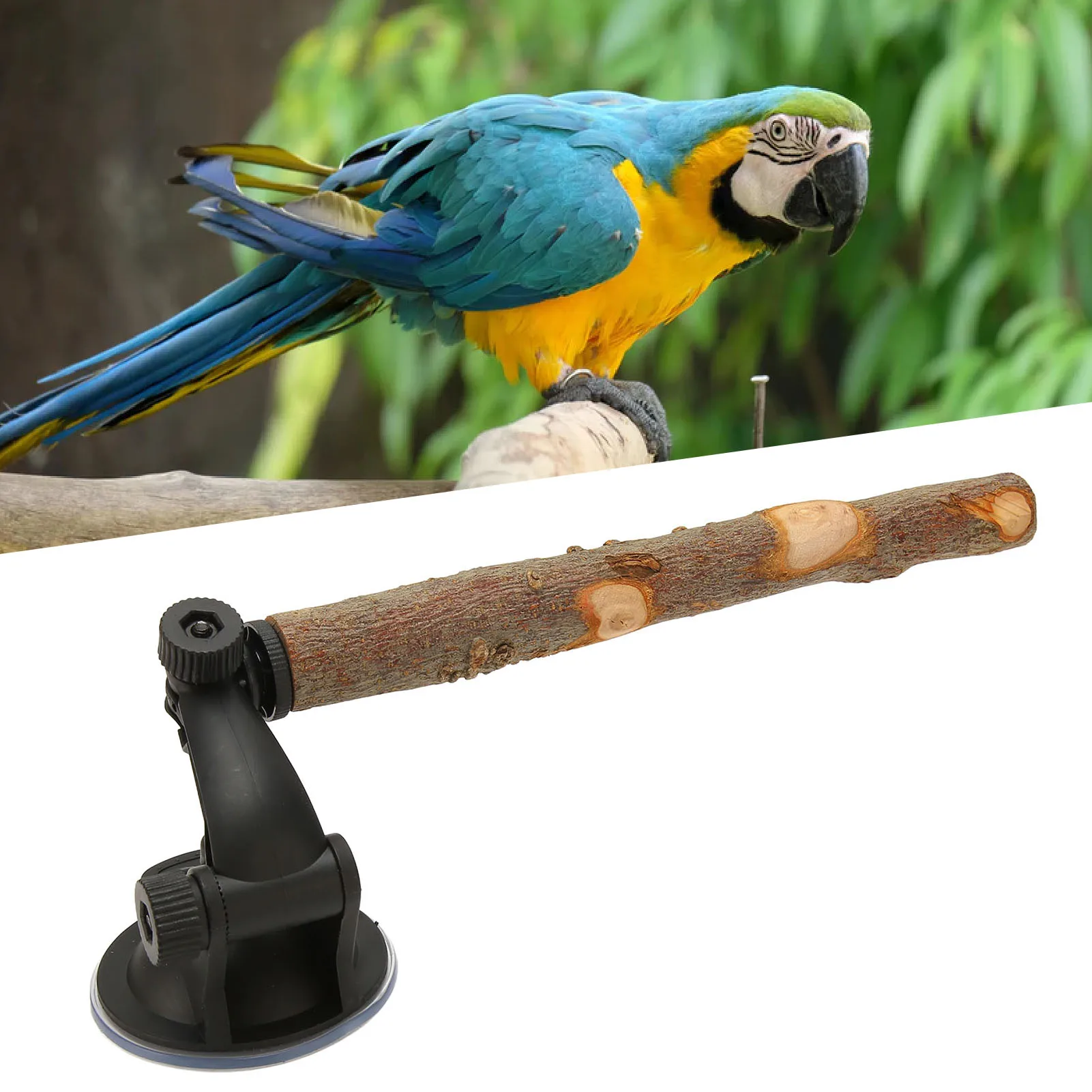Wood Parrot Perch Prevent Slip Interactive Bird Window Perch Stand With Suction Cups For Small Medium Bird 2