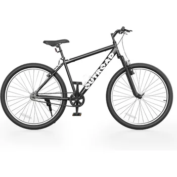 26" Dual Disc Mountain Bike 1