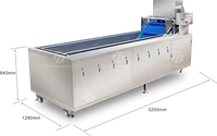 Manufactory Direct ginger washing machine Automatic vegetable washers washing machine for vegetable 2