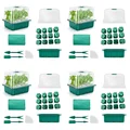 Green Suit 4pcs