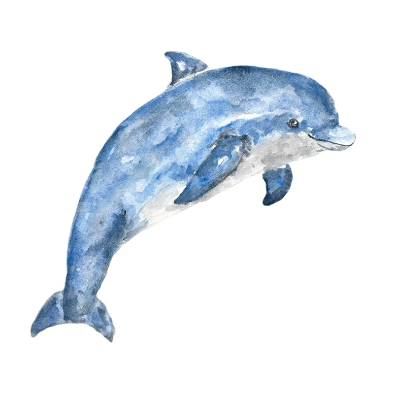 

13 X 11.8cm Creativity Anime Dolphin Car Stickers Car Body Decal Waterproof Vinyl Car Wrap Window Bumper Motorcycle Decoration