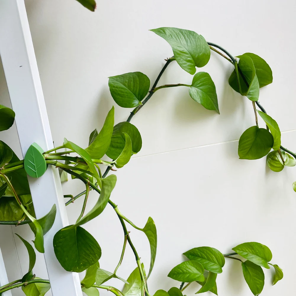 Plant Fixing Clip Self Adhesive Leaf Shaped Invisible Hook Green Plant Support Frame Vine Climbing Clamp Home Garden Supplies