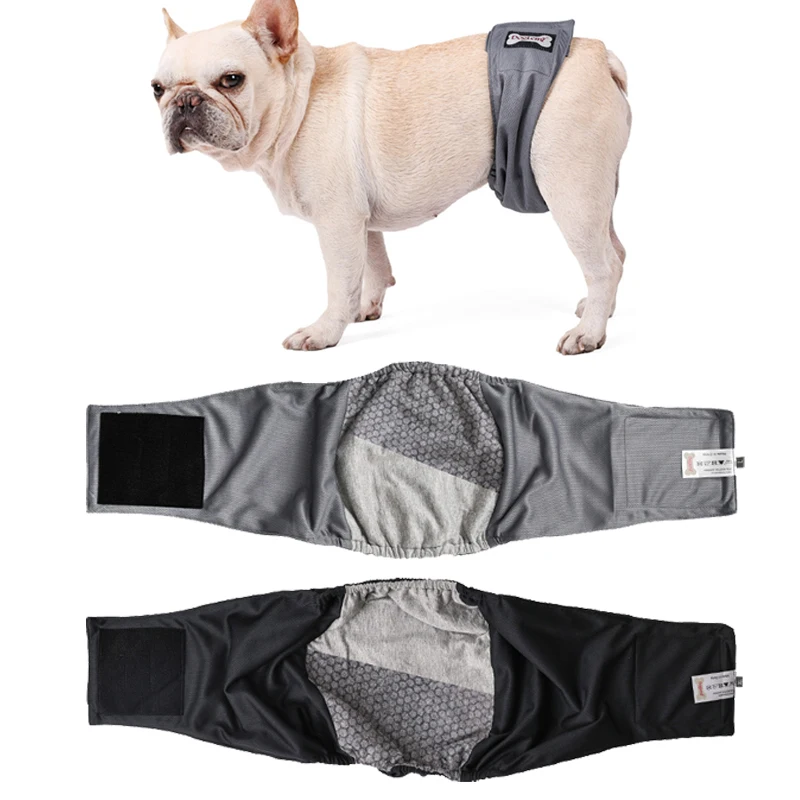 Can Boy Dogs Use Pee Pads