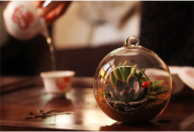 S2f42389bba8649e58d0dbe2244c54e23s