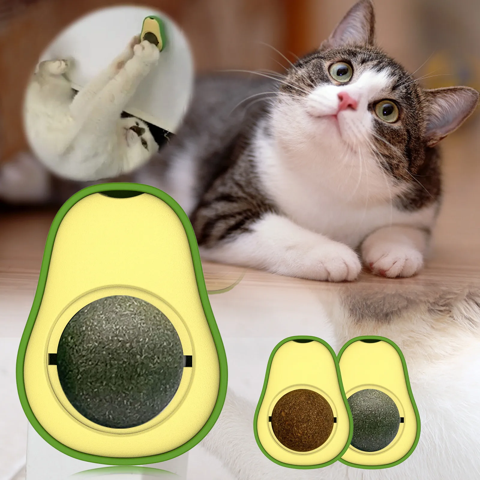 Toys avocado для кошек. Авокадо кошечка. Игрушка для кошек авокадо с кошачьей мятой. Коты жрут авокадо. Запрещенные продукты для кошек.