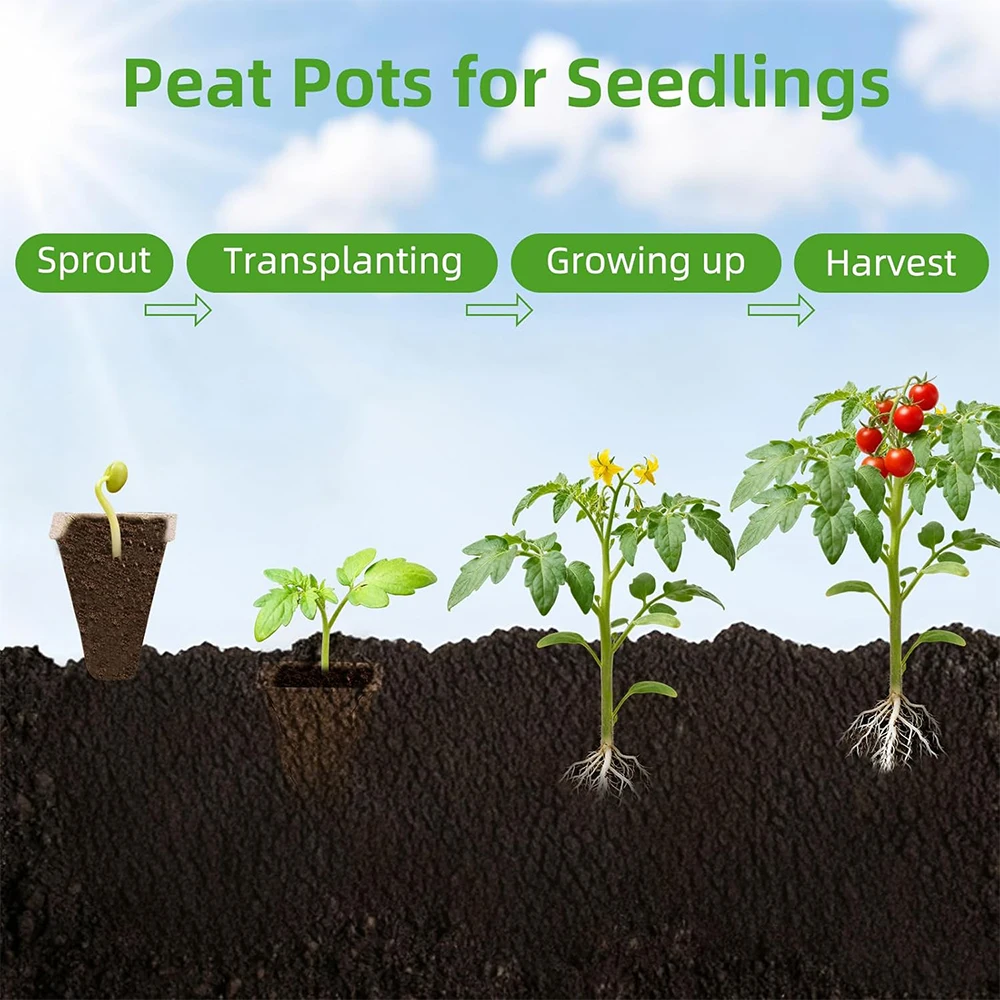 Biodegradable 300-Cell Seed Starter Kit with Domed Germination Trays