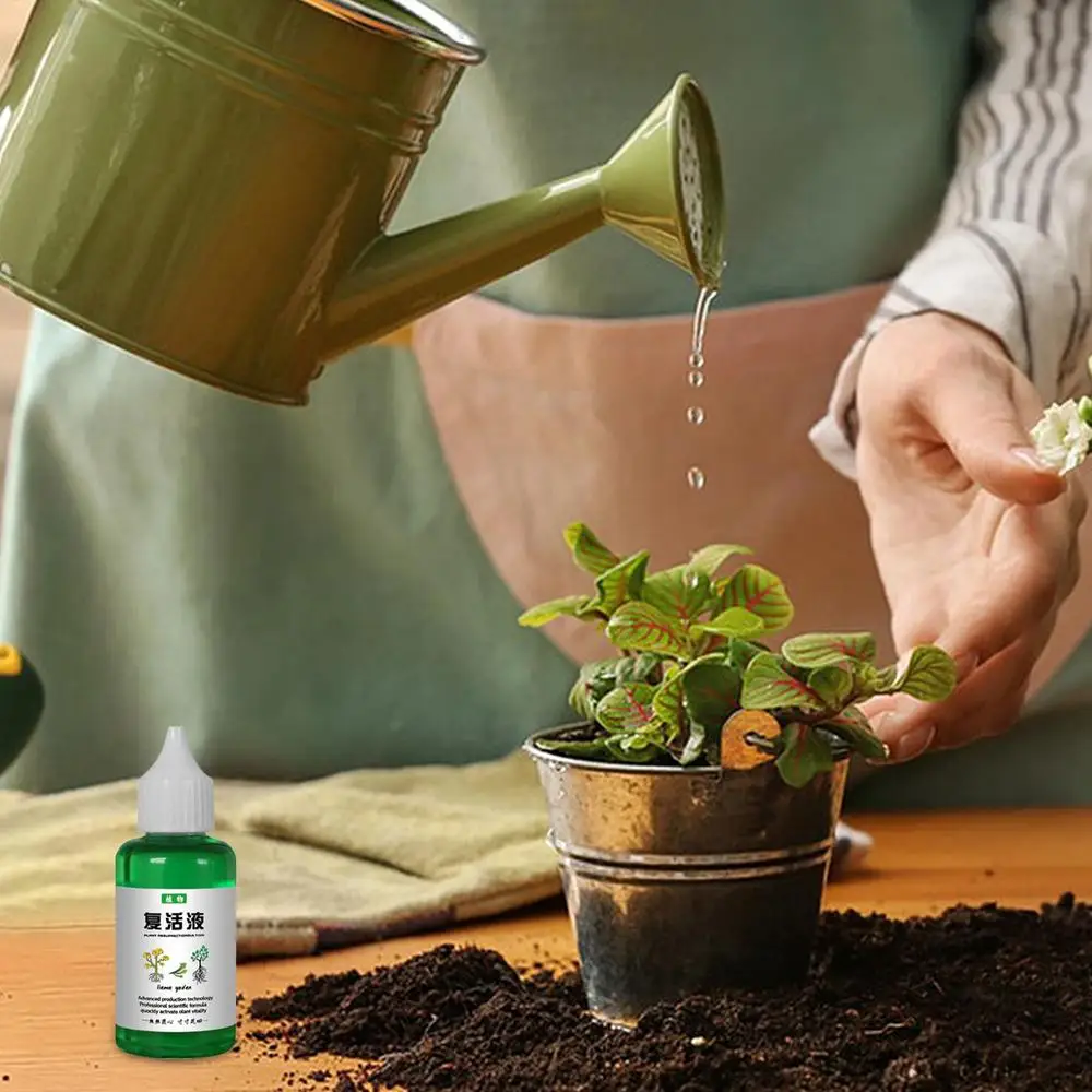 Description Picture 6 of item50ml Plant Resurrection Liquid Flower Fruit Vegetable Fertilizers Nutrient Solution Orchid Fertilizer Promotes Healthy & Strong