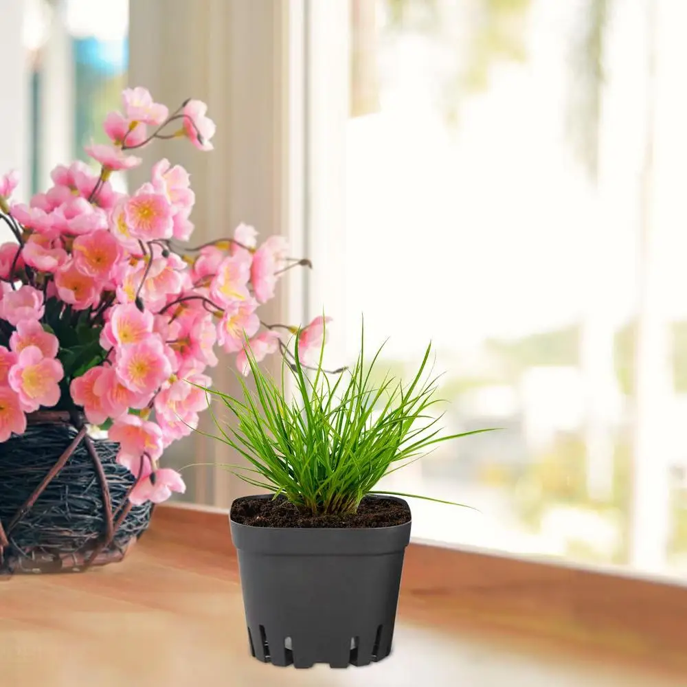Startertöpfe zum Pflanzen, 50 Stück, wiederverwendbare schwarze quadratische Sämlingstöpfe, Kindergartentopf mit Entwässerungslöchern, Gartenset für Pflanzen – Detail 4