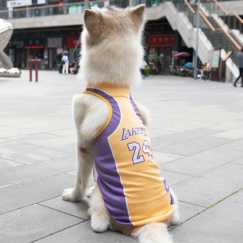 lakers jersey dog